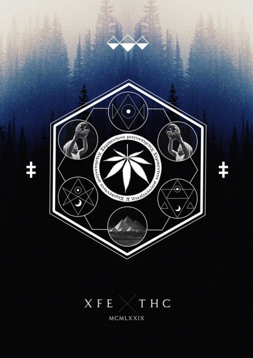 Xisforeyes : Serpentine Magnetoesthetic (Pre-Production)